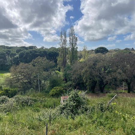 Quinta Dos Canais Setúbal Kültér fotó