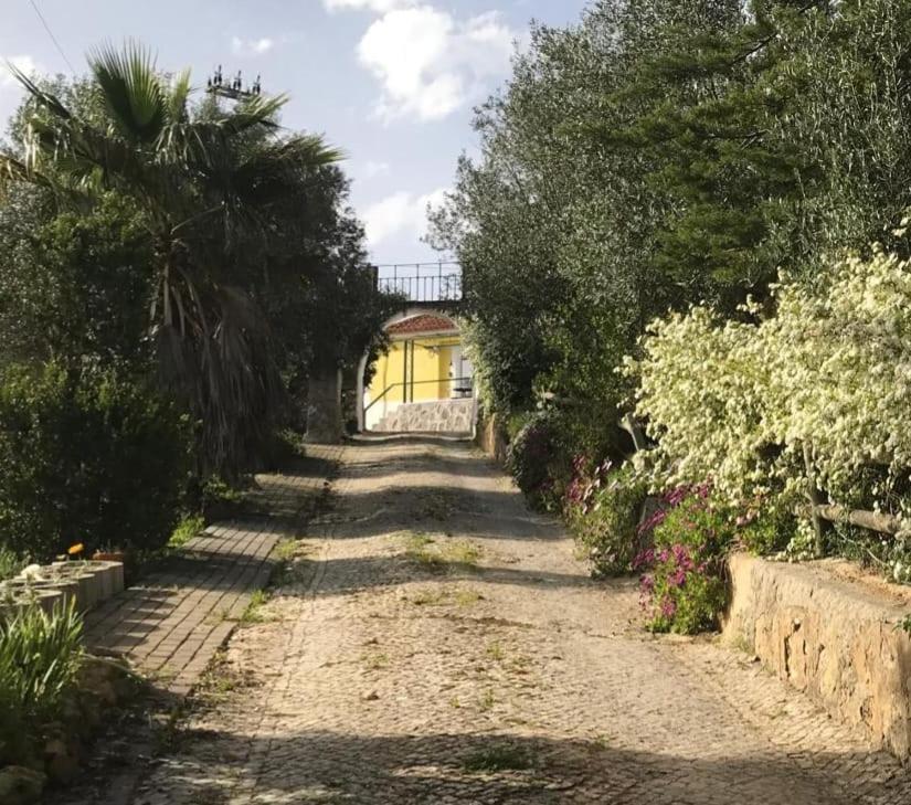 Quinta Dos Canais Setúbal Kültér fotó