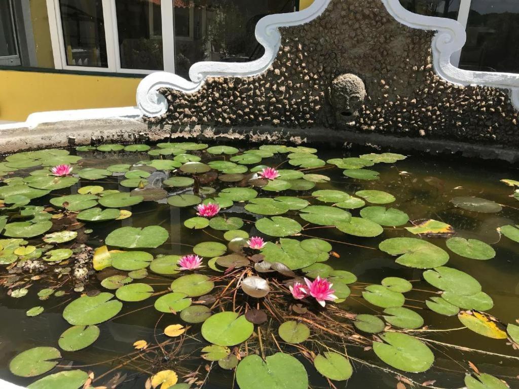 Quinta Dos Canais Setúbal Kültér fotó