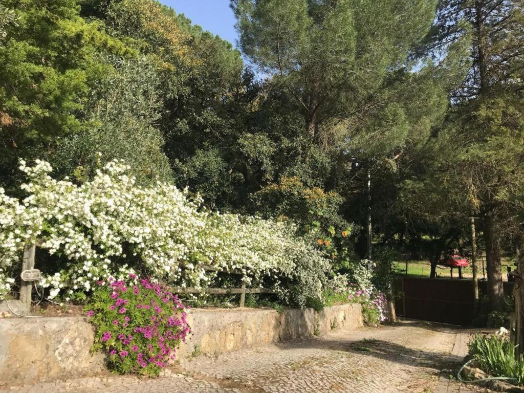 Quinta Dos Canais Setúbal Kültér fotó
