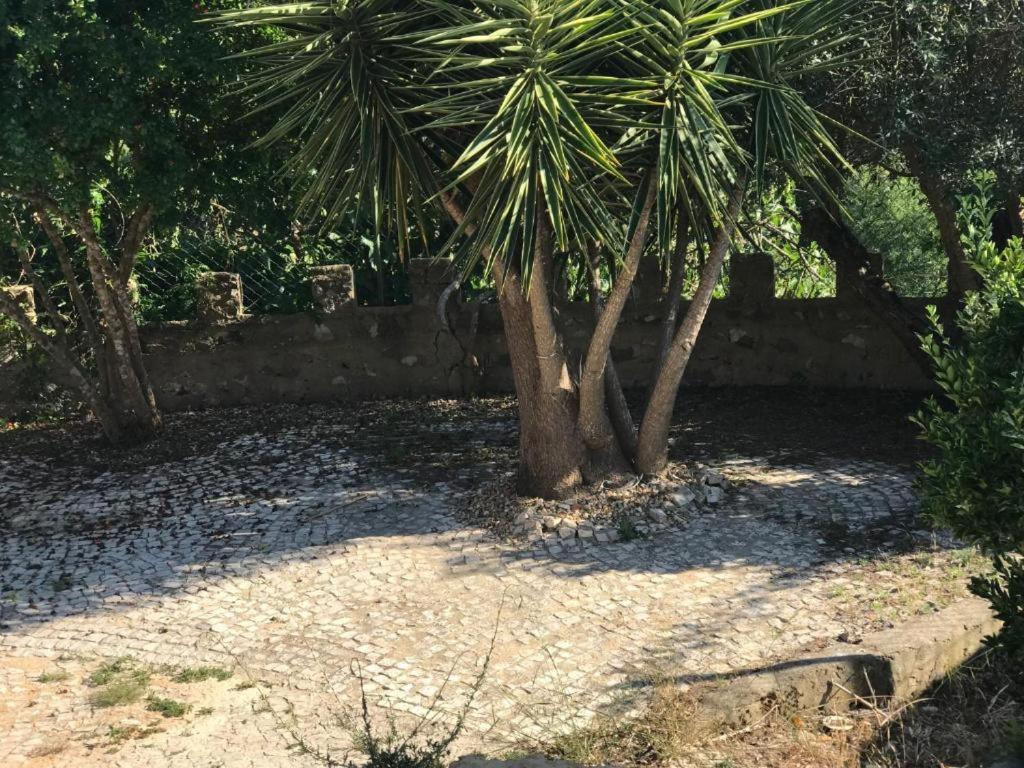 Quinta Dos Canais Setúbal Kültér fotó