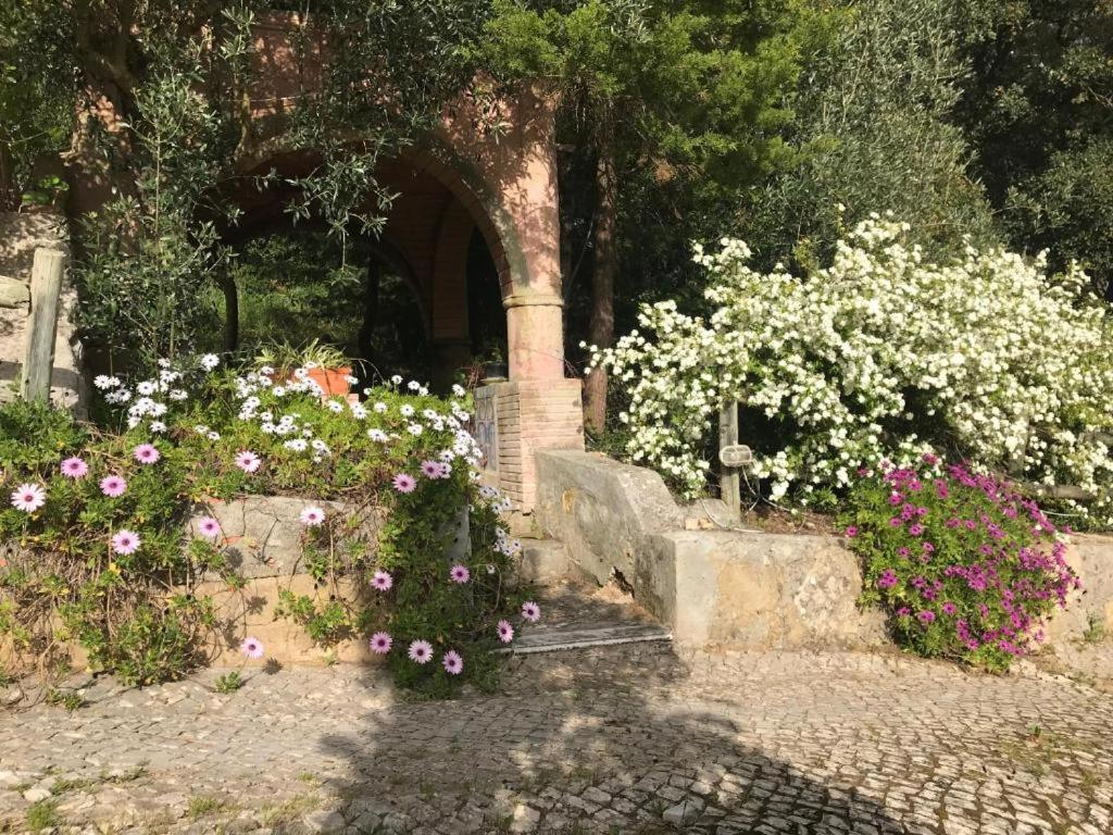 Quinta Dos Canais Setúbal Kültér fotó